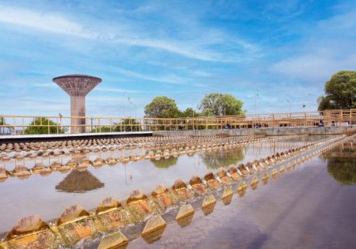 Casal é primeira estatal alagoana a migrar para o Mercado Livre de Energia