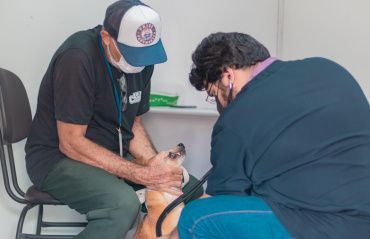 Fim de semana terá serviços veterinários 