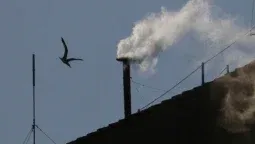 Por que igrejas ao redor do mundo tocaram sinos após a fumaça branca?