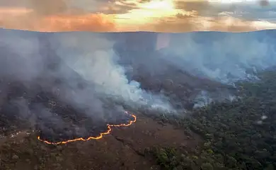 Incêndio queima 10 mil hectares do Parque da Chapada dos Veadeiros