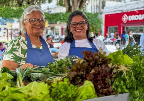 Circuito de Regional de Feiras movimenta o Agreste com sabores, cores e histórias do campo