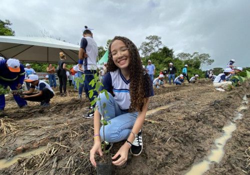 IMA promove plantio de 7 mil mudas e reforça educação ambiental em Coruripe no Dia Mundial do Meio Ambiente