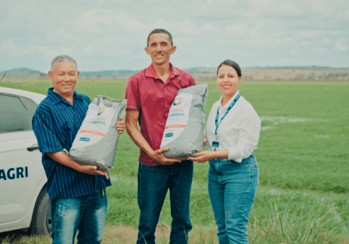 Alagoas fecha ano com investimentos positivos para agricultura e pecuária