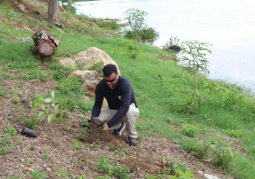 IMA lança o programa que promove arborização e preservação ambiental