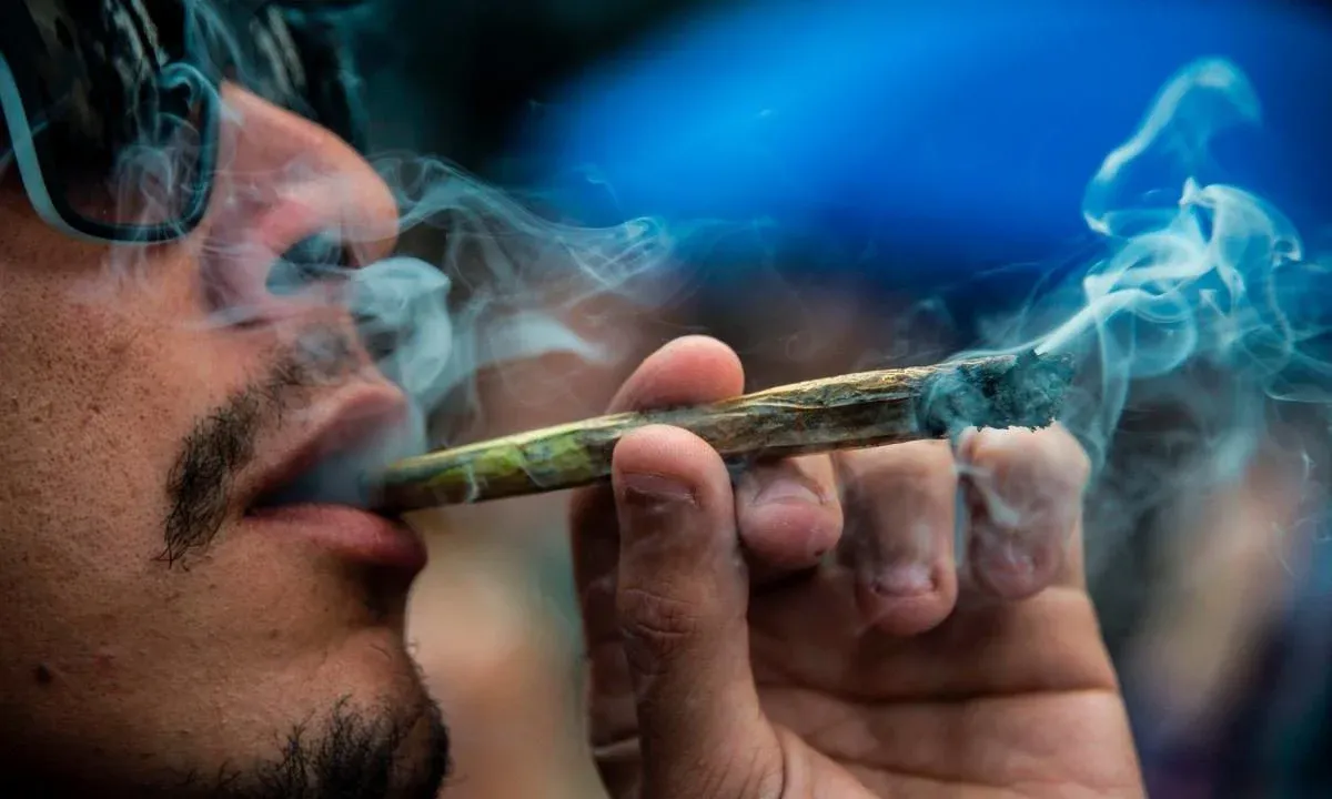 STF mantém descriminalização do porte de maconha para uso pessoal