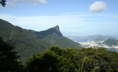 Só 6,9% das áreas urbanas do país são cobertas por vegetação