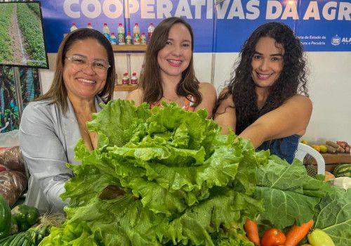 Feira Alagoana da Agricultura Familiar e Economia Solidária contará com participação de 24 municípios