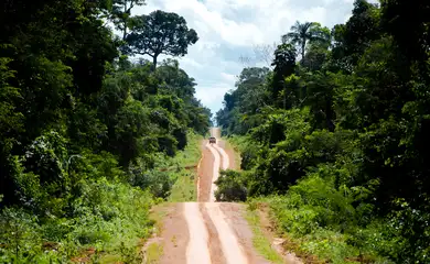Amazônia: degradação afeta área três vezes maior que desmatamento
