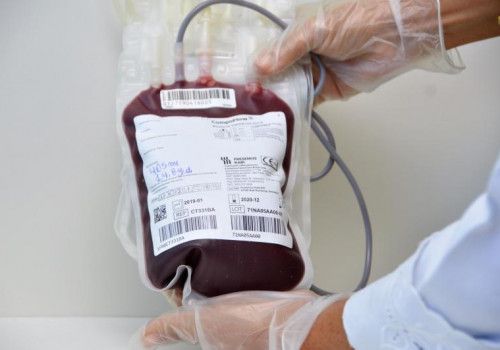 Hemoal promove I Fórum de Alinhamento em Hemoterapia com Foco na Vigilância Sanitária