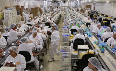 Dificuldade de acesso a insumos afeta 22 entre 25 setores