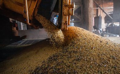 Produção agrícola em 2021 bate novo recorde e atinge R$ 743,3 bilhões