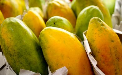 Governo prorroga prazo para cadastro na Agricultura Familiar