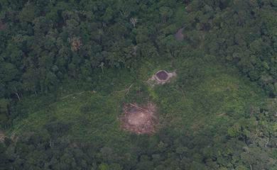 Massacre de Haximu completa 30 anos