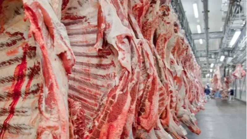 Exportação de carne bovina do Brasil bate recorde em setembro mesmo com tarifaço