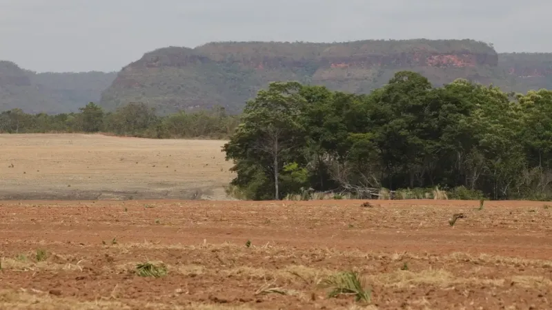 Fronteira Cerrado: acesso desigual ao Estado agrava conflitos agrários