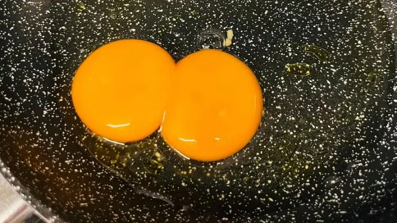 Ovos de duas gemas: entenda por quê o fenômeno ocorre e se é seguro para consumo