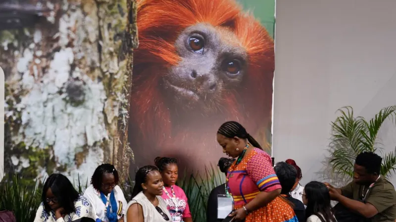 COP30: financiamento, transição e adaptação são centro das negociações