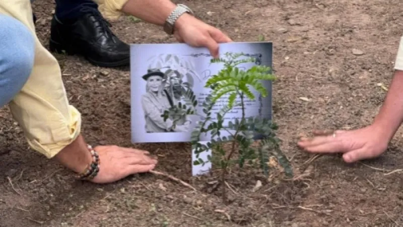 Semarh planta árvore em homenagem a Anita Studer