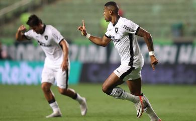 Botafogo conta com Júnior Santos artilheiro para superar América-MG