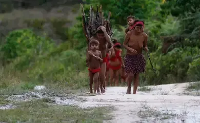 Combate ao garimpo de forma permanente é urgente, diz procurador