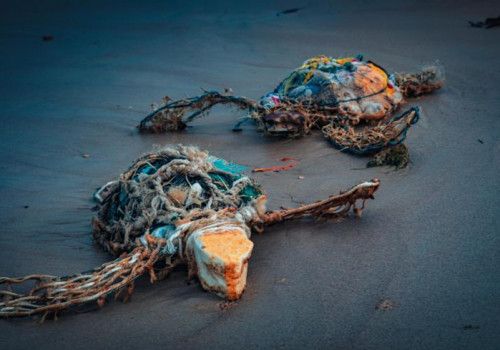 IMA lança exposição e catálogo do VII Concurso de Fotografia Ambiental