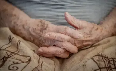 Maioria dos projetos para idosos é da sociedade civil e do Sudeste