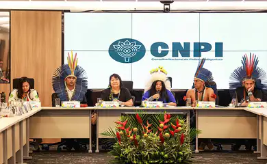 Conselho Nacional de Política Indigenista retoma atividades