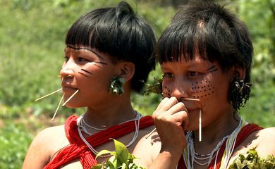 Caminhos da Reportagem mostra efeitos do garimpo na Terra Yanomami