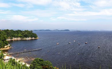 Da poluição ao berçário da vida marinha