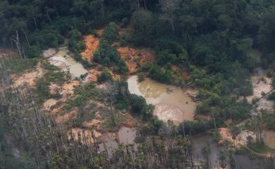 Voos clandestinos em terra yanomami caem 90% após operação especial