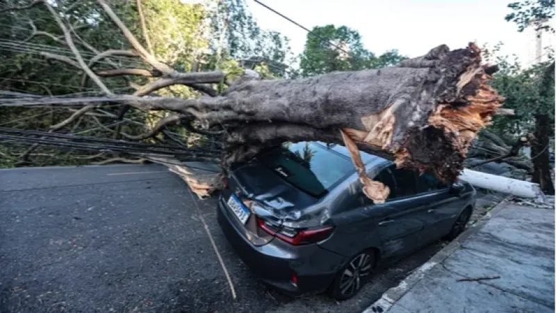 SP chega a 7 mortes após fortes chuvas em dezembro; homem está desaparecido