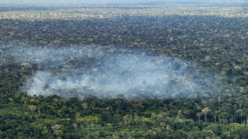 Estudo aponta atividade humana nas emissões de carbono na Amazônia
