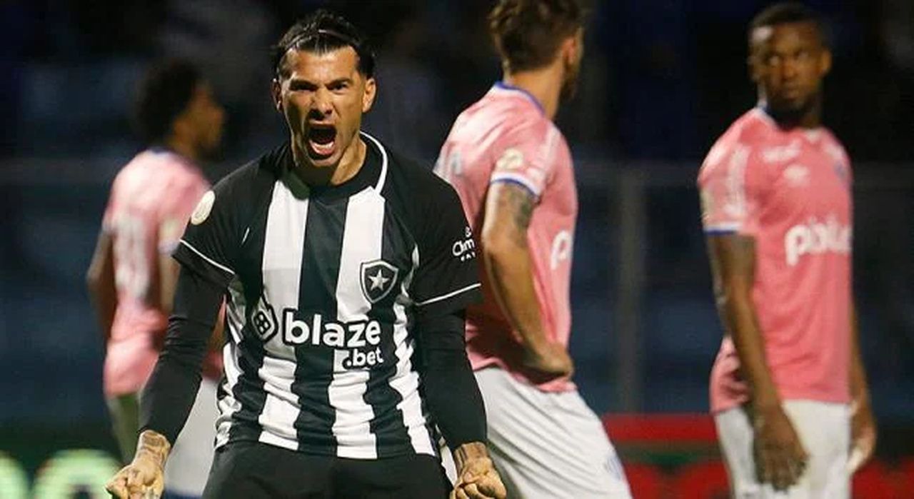 Botafogo vence o Avaí de virada e segue sonhando com vaga na Libertadores