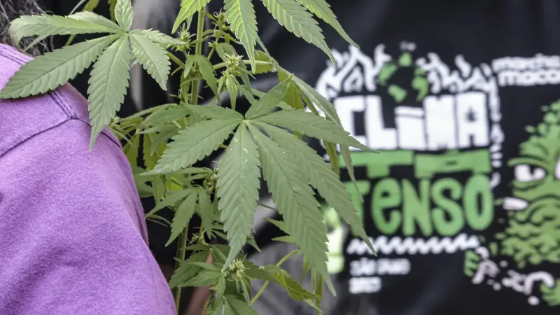 Flagrante por drogas gera mais prisão preventiva do que outros crimes