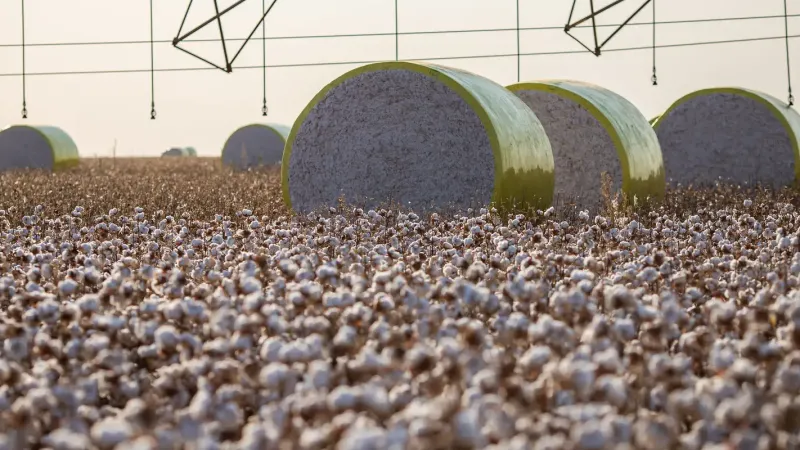 Entenda mudança no mapa que tirou Sorriso do topo da produção agrícola