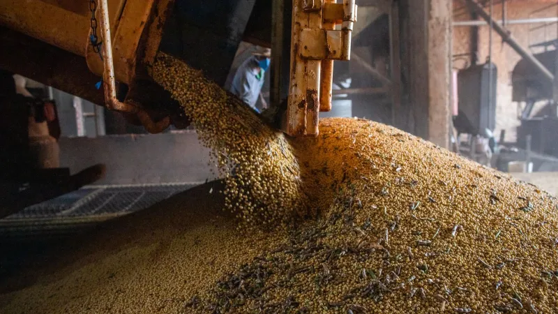 Economia brasileira cresce 1,1% no 1º trimestre
