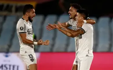 Botafogo avança e faz final da Libertadores com o Atlético-MG