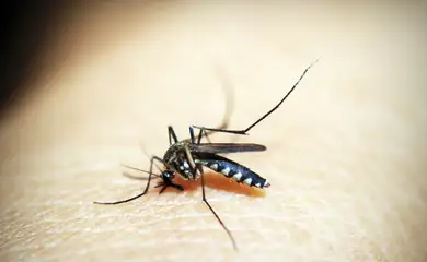 Cidade do Rio entra em situação de emergência devido a casos de dengue