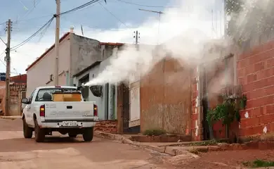 Ivermectina não é eficaz contra dengue, alerta Ministério da Saúde