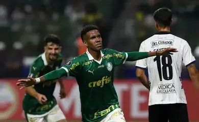 Palmeiras vence em casa para assumir do Grupo F da Libertadores