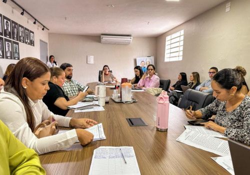 Sesau discute estratégias para redução da mortalidade materna e fetal em Alagoas