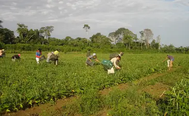 Lula sanciona lei que autoriza R$ 500 mi para agricultura familiar