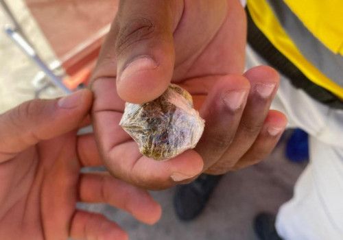 Ronda no Bairro flagra jovem com drogas no Marco dos Corais, em Maceió