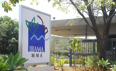 Concurso do Ibama será aplicado neste domingo em todas as capitais