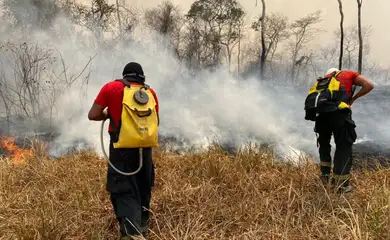 Maranhão terá R$ 45 milhões do Fundo Amazônia para combater incêndios