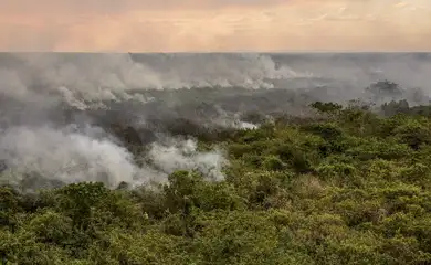 Pantanal poderá ter crise hídrica histórica em 2024, aponta estudo