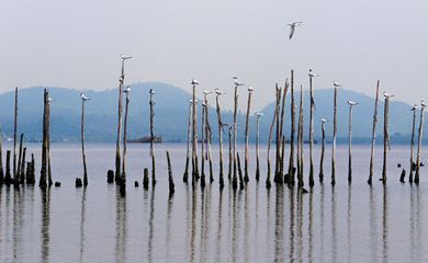 Projetos para a Baía de Guanabara colecionam fracassos desde anos 1990