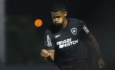 Botafogo garante presença na fase de grupos da Copa Libertadores