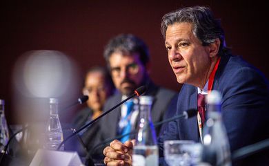Cota do Brasil no FMI pode ser revista, diz Haddad