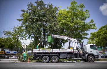 Autarquia de Limpeza Urbana inicia ação preventiva de poda e supressão de árvores